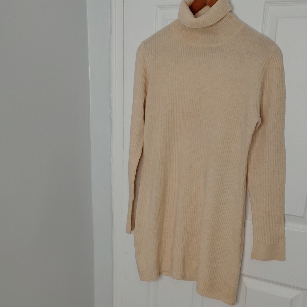 Elegant Wool Blend Beige Long Sleeve Turtleneck Dress